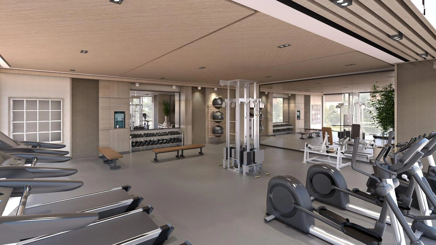 Gym · Artist’s perspective