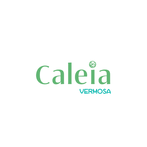 Caleia at Vermosa